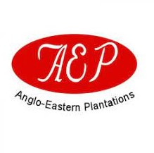 Gaji PT Anglo Eastern Plantation