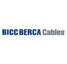 Gaji PT BICC BERCA Cables